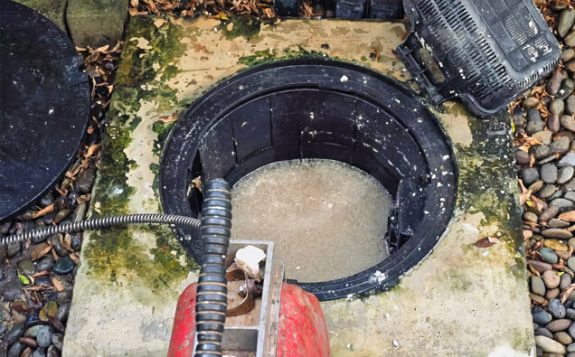 https://plumberinglewood.com.au/uploads/2025/06/blocked-drains-820453.jpg