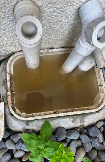 https://plumberinglewood.com.au/uploads/2025/06/blocked-drains-912576.jpg